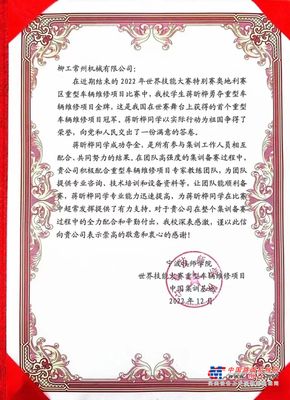 振奋！柳工助力技能青年勇夺世界技能大赛金牌