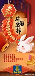 律回春渐，万象更新——2023宝峨中国新春祝福