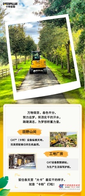 #相约在春天 定格“CAT黄”
