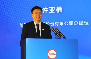 同力重工总经理许亚楠：把握周期机遇，以数智化和新能源创造价值增长点