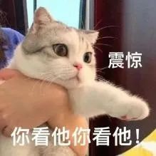 迪万伦：看“矿山标配”DX500HD如何点石成金！
