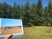 日立建机：公益林计划｜近20年坚守，终成万亩绿洲