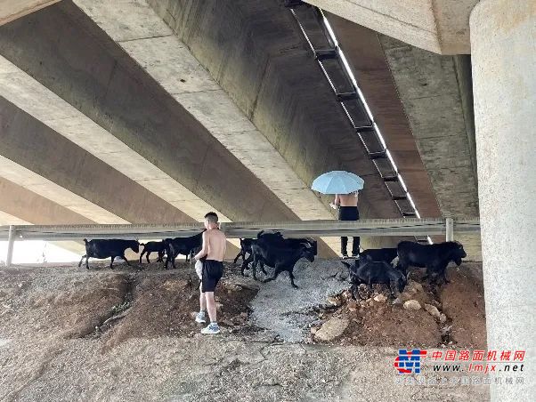 在营销地推过程中也不免会出现许多意料之外的问题，例如有些物流园区禁止外人进入，这时还锻炼了学员们随机应变的能力。