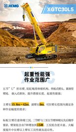 徐工:什么样的吊车能成为行业爆款？XGTC30L5优势大盘点！