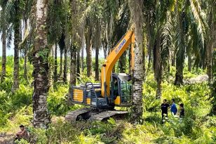 絲路閃耀丨徐工特挖助力印尼雨林新發展