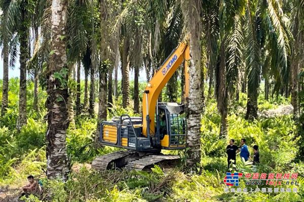 丝路闪耀丨徐工特挖助力印尼雨林新发展