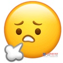 那么，同盟军数智运营平台到底如何更高效、更专业、更全面为高机租赁客户赋能呢，一段对话，为您解读：