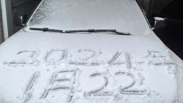 小金土豆家门口玩雪丨山猫来“捣乱”！