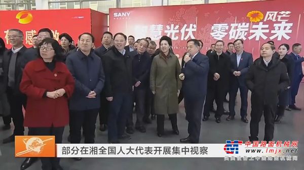 部分在湘全国人大代表集中视察三一