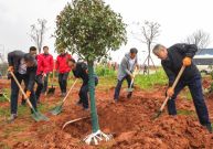 “植”此青綠 共赴春山 | 鐵建重工組織開展 “中國鐵建員工在植樹”活動