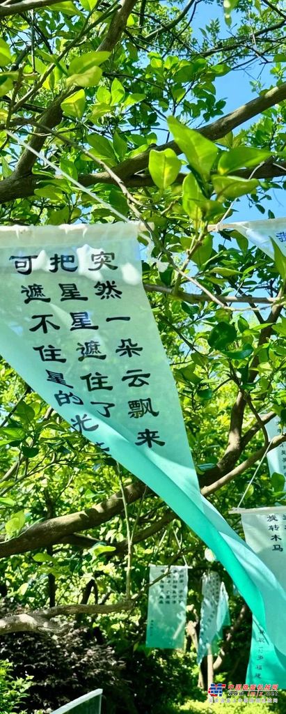 	烟火与诗意并存