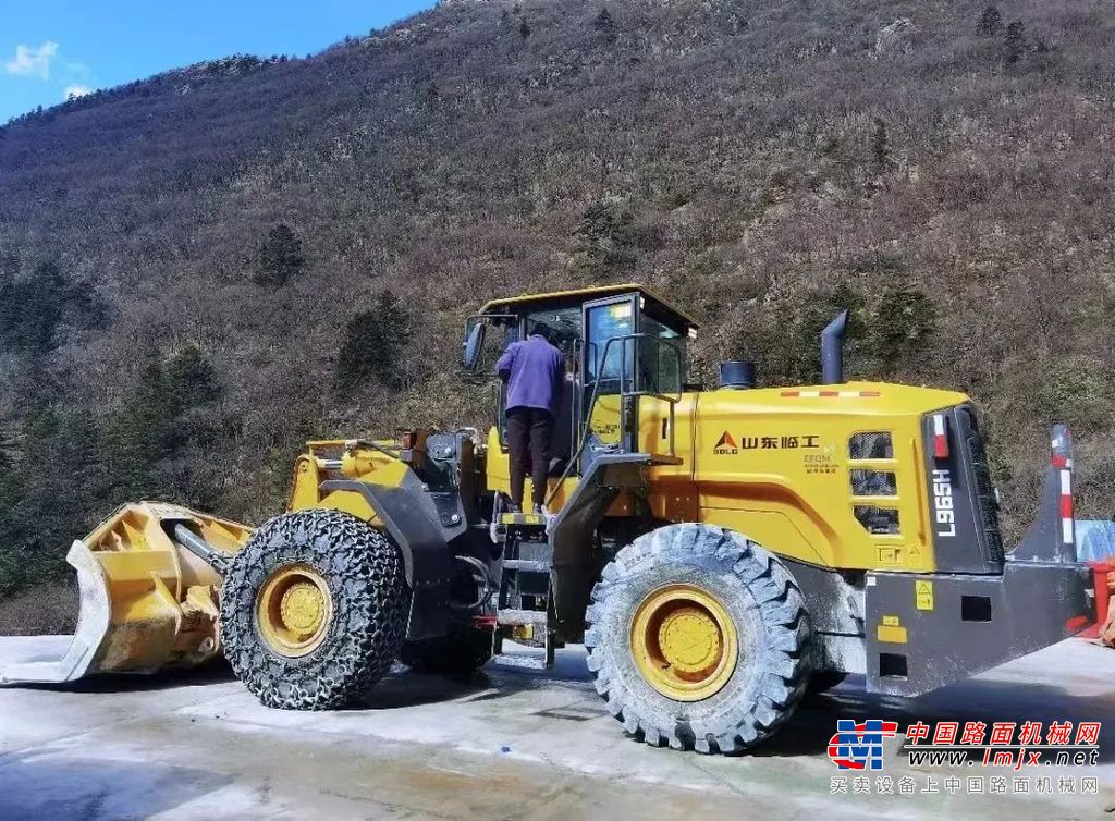 	秧苗新绿，向阳生长。