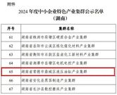 常德市产业集群挺进“国家队”，中联重科专精特新“小巨人”助力