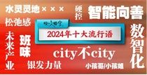 2024十大流行語，迪萬倫用過這些