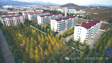 【真挚服务】方圆集团物业科开展走访慰问活动显真情有限公司