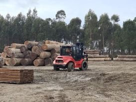 杭叉海外|杭叉越野叉車助力葡萄牙木材公司高效運營，展現中國製造硬實力