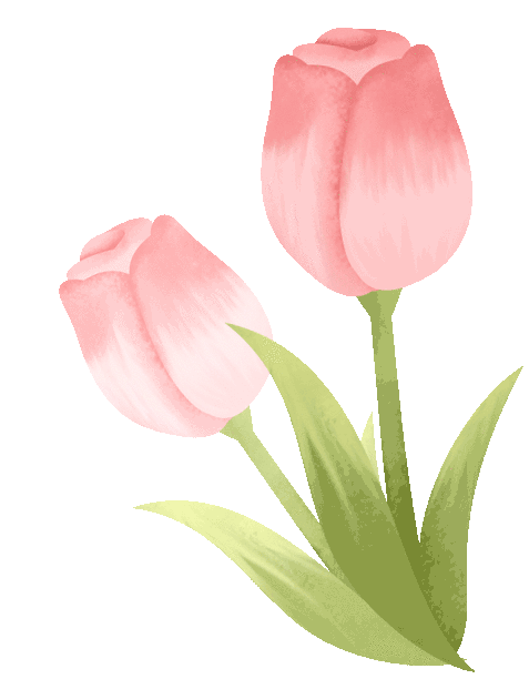 https://news-static.lmjx.net/upload/upfs/202503/10/477w612hf_1741572528737823.gif