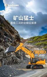 柳工990F挖掘机 | 硬核实力，年度金口碑奖！
