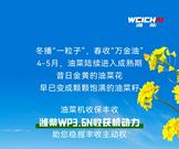 大国丰景丨潍柴WP3.6N为油菜收获按下“快捷键”