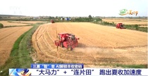 央视连续聚焦 | 引领“智”变 雷沃智慧农业让三夏更有“AI”