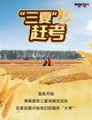 “三夏”赶考：潍柴的丰收答卷