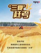 “三夏”赶考：潍柴的丰收答卷