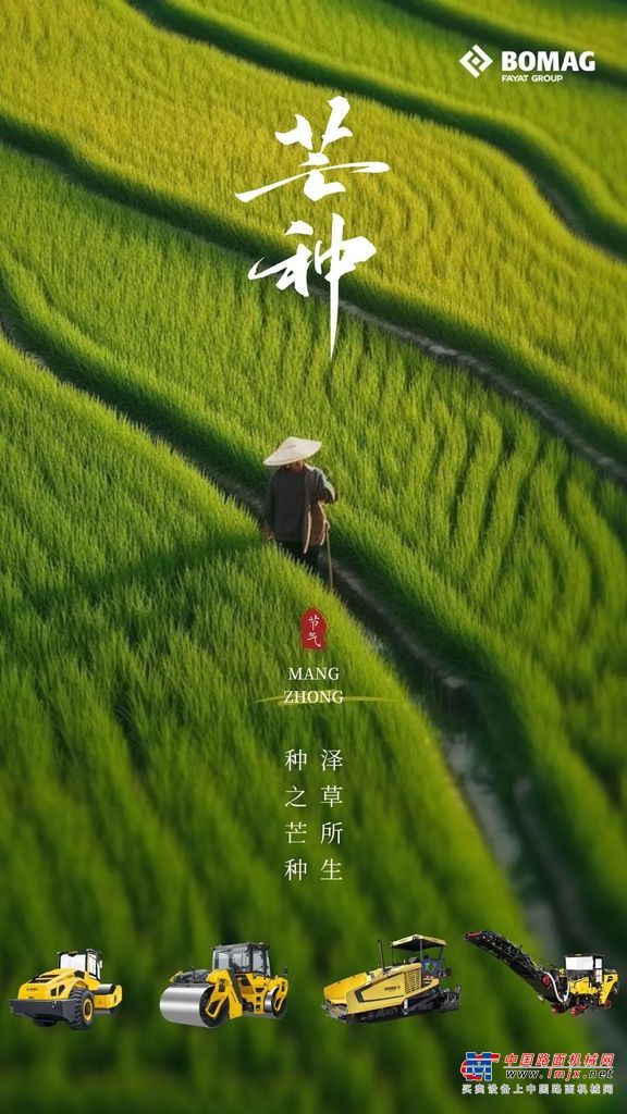 宝马格：芒种|风吹麦浪芒种时，麦香深处有希望！