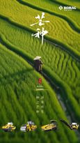 宝马格：芒种|风吹麦浪芒种时，麦香深处有希望！