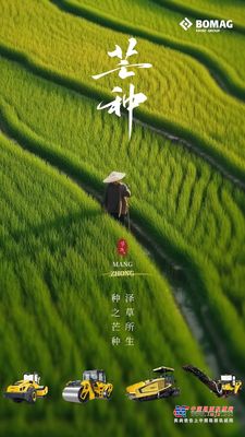 宝马格：芒种|风吹麦浪芒种时，麦香深处有希望！