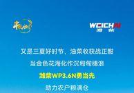 丰收时刻丨潍柴WP3.6N勇当先，油菜丰收捷报传