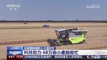 媒体聚焦丨“三夏”大忙正当时，中联重科农机一线展英姿