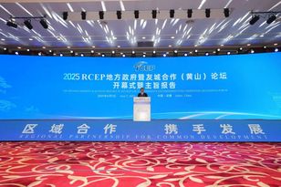 共探合力RCEP 2025——解码合力与世界双向奔赴的共赢密码