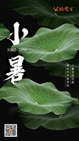 英达【小暑】小暑至 盛夏始