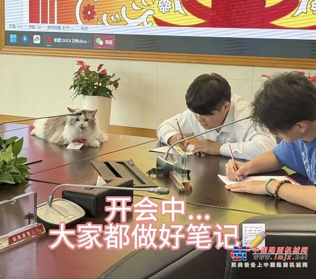 三一首席喵总的硬核带货日记