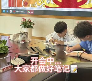 三一首席喵总的硬核带货日记