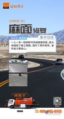 英达：修路王治理病害（五）：麻面修复