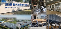 BICES 2025 展商风采：安徽利元传动技术有限公司